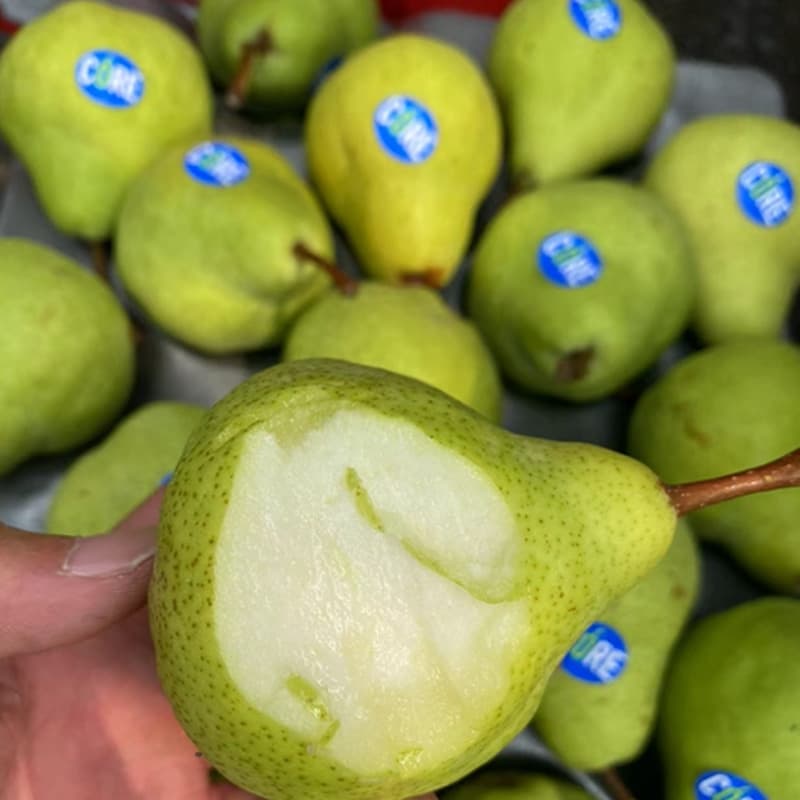 images/1663746175745calibrador de peras1.jpg